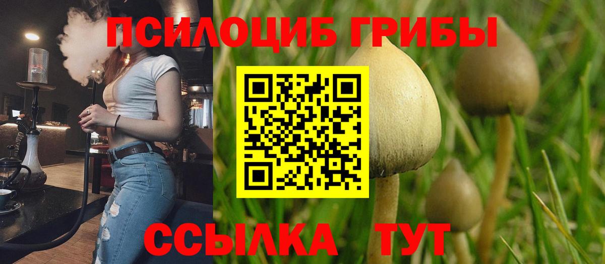 Саяногорск  Псилоцибиновые грибы мицелий  Вход с VPN 